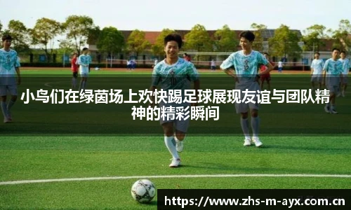 小鸟们在绿茵场上欢快踢足球展现友谊与团队精神的精彩瞬间
